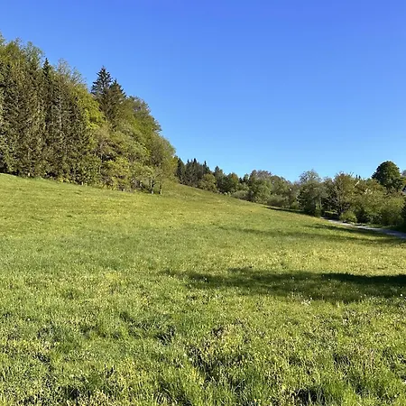 Smart 2 Bb2 328 Winterberg